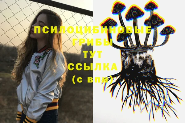 спайс Верея