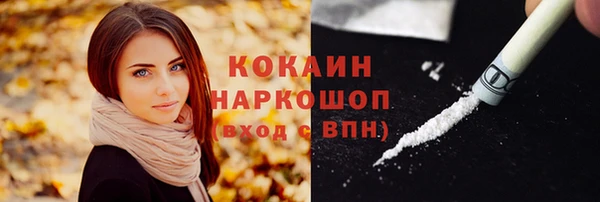 дурь Бородино
