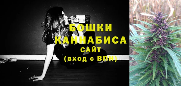 бошки Бронницы