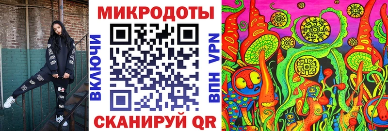 Псилоцибиновые грибы Psilocybe  Западная Двина 